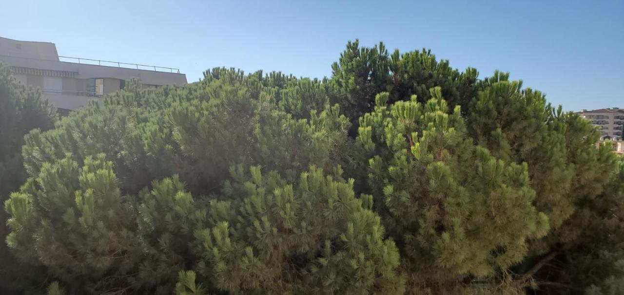 Frejus Plage La Miougrano, T2-3 49M2, 5 Personn Eksteriør bilde
